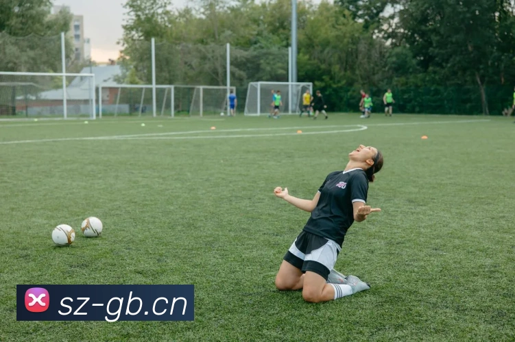 开云手机入口官网下载服务体系